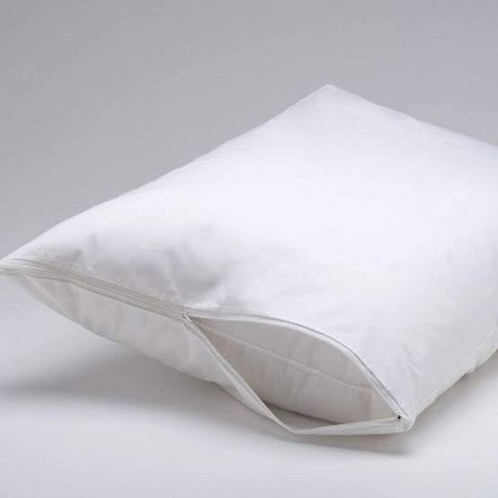 Pillow Protector - Water Resistant